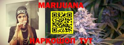 тгк Новозыбков