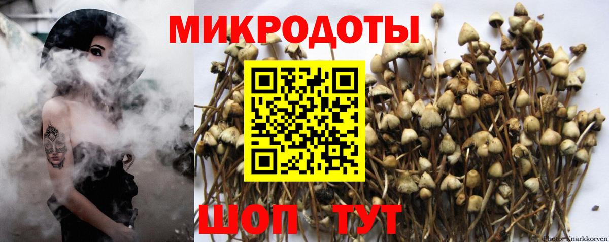 Славгород  Галлюциногенные грибы прущие грибы  Псилоцибиновые грибы ЛСД  Вход с VPN 